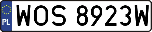 WOS8923W