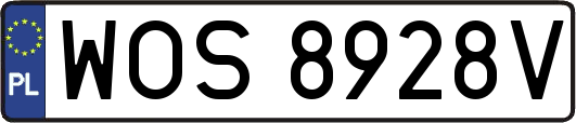 WOS8928V