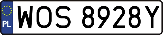 WOS8928Y