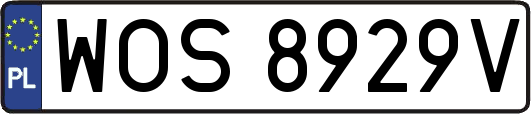 WOS8929V