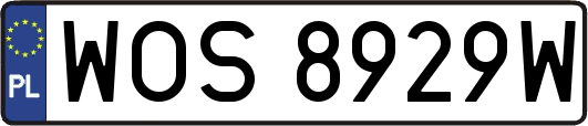 WOS8929W