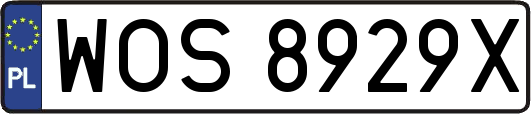 WOS8929X