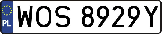WOS8929Y