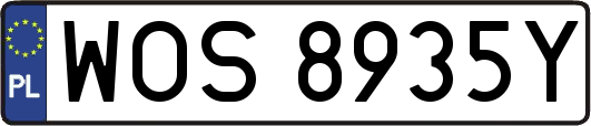 WOS8935Y