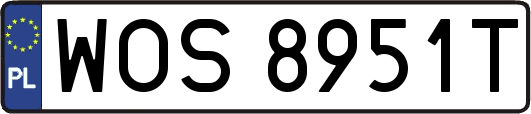 WOS8951T