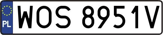 WOS8951V