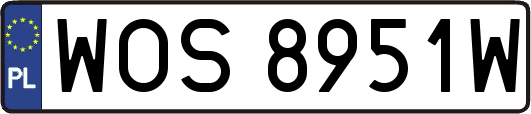 WOS8951W