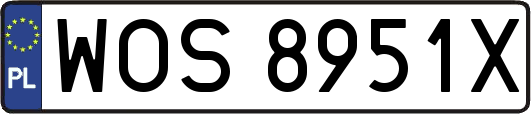 WOS8951X