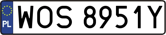 WOS8951Y