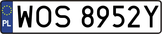 WOS8952Y