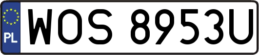WOS8953U