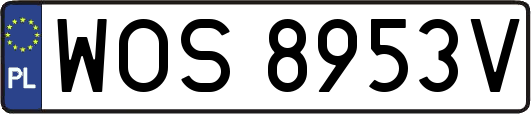 WOS8953V