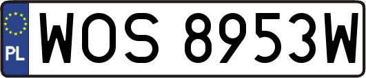 WOS8953W