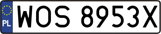 WOS8953X