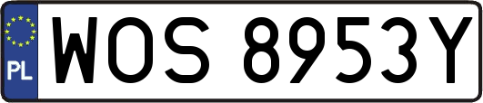 WOS8953Y
