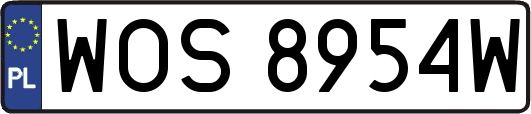 WOS8954W