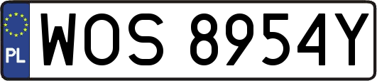 WOS8954Y