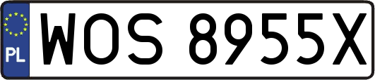WOS8955X
