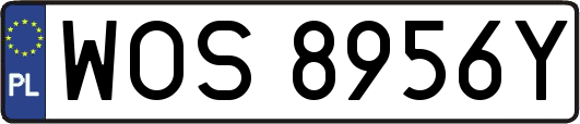 WOS8956Y