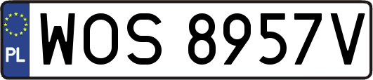 WOS8957V
