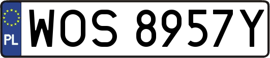 WOS8957Y