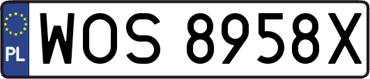 WOS8958X