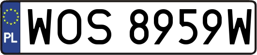 WOS8959W