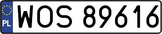 WOS89616