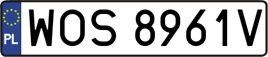 WOS8961V