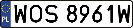 WOS8961W