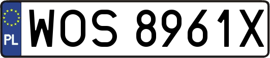 WOS8961X