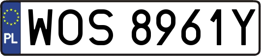 WOS8961Y