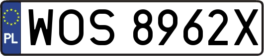 WOS8962X
