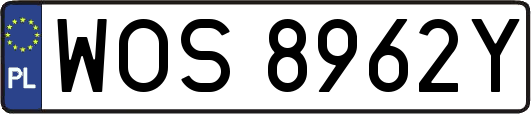 WOS8962Y