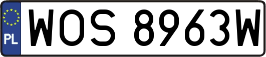 WOS8963W