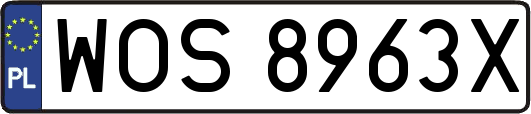 WOS8963X