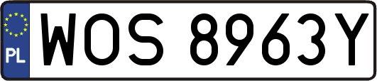 WOS8963Y