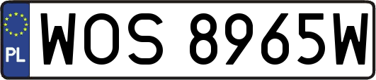 WOS8965W
