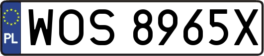 WOS8965X