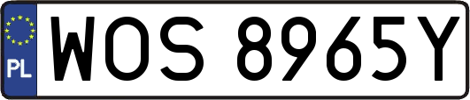 WOS8965Y