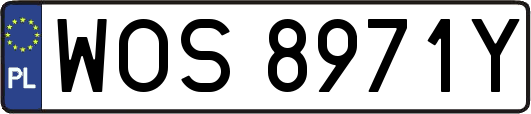 WOS8971Y