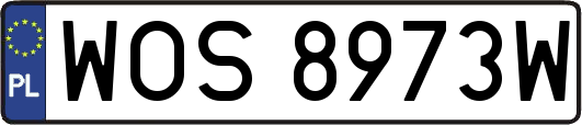 WOS8973W