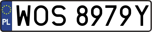 WOS8979Y