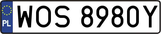 WOS8980Y