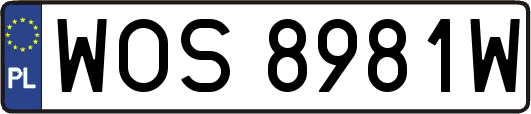 WOS8981W