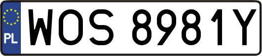 WOS8981Y