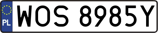 WOS8985Y