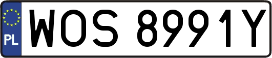 WOS8991Y