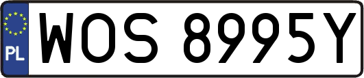 WOS8995Y