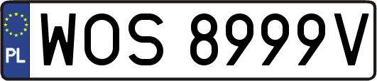 WOS8999V